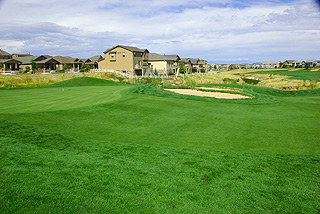 Black Bear Golf Club - Colorado golf course