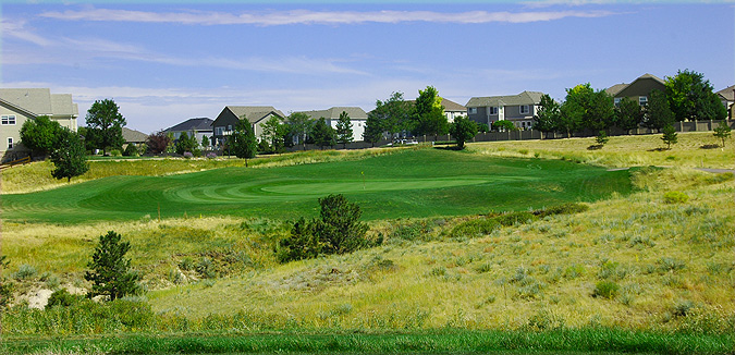 Black Bear Golf Club - Colorado golf course